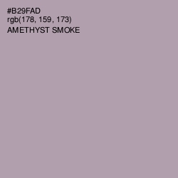 #B29FAD - Amethyst Smoke Color Image
